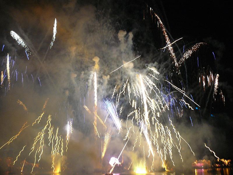 P1020224.JPG - EPCOT- fireworks show