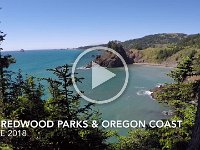 Coastal Redwoods and Oregon Coast
