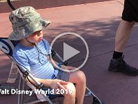 Walt Disney World 2019